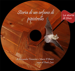 Dvd novità: Storia di un orfano di pipistrello